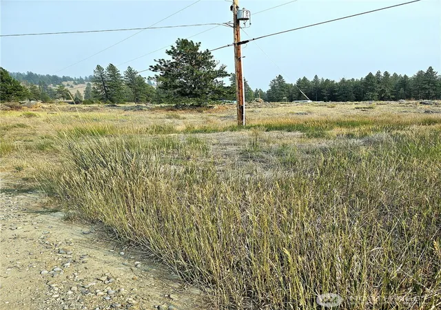 Photo 4 of Land for sale at 41 Tbd Main Rd, Tonasket, WA 98855 | MLS# NWM2566683 | Listing updated on 2026-09-23