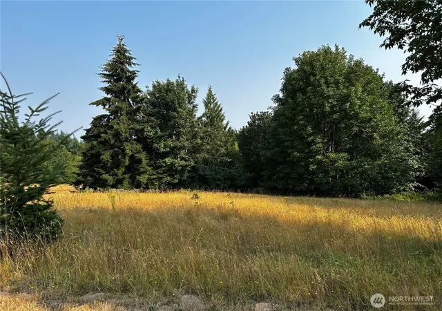 Photo 1 of Sale Pending at 10346 210th Lane Sw, Rochester, WA 98579 | MLS# NWM2566690 | Listing updated on 2026-09-25