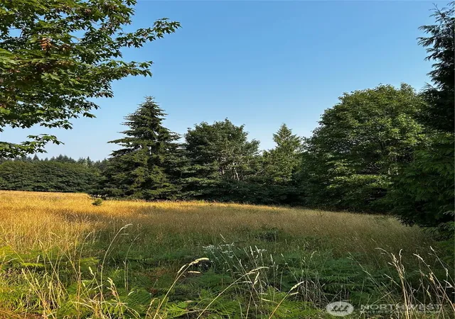 Photo 2 of Sale Pending at 10346 210th Lane Sw, Rochester, WA 98579 | MLS# NWM2566690 | Listing updated on 2026-09-25