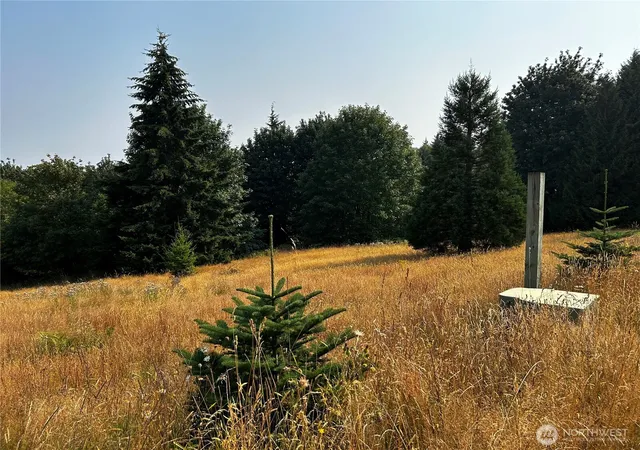Photo 3 of Sale Pending at 10346 210th Lane SW, Rochester, WA 98579 | MLS# NWM2566690 | Listing updated on 2026-09-25