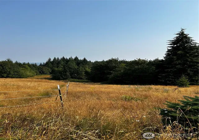 Photo 4 of Sale Pending at 10346 210th Lane SW, Rochester, WA 98579 | MLS# NWM2566690 | Listing updated on 2026-09-25