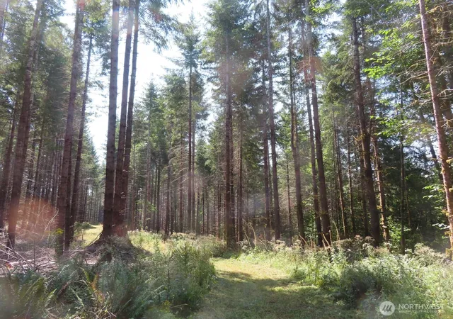 Land for sale at 0 Xxx Chandler Rd, Doty, WA 98572 | MLS# NWM2566749