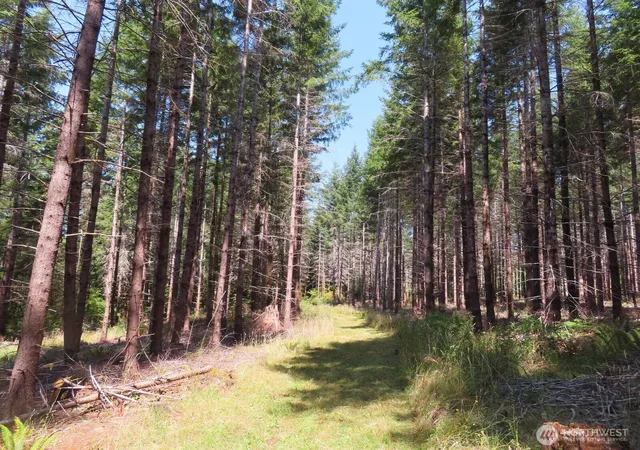 Photo 2 of Land for sale at 0 Xxx Chandler Rd, Doty, WA 98572 | MLS# NWM2566749 | Listing updated on 2026-09-23