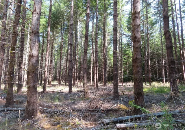 Photo 3 of Land for sale at 0 Xxx Chandler Rd, Doty, WA 98572 | MLS# NWM2566749 | Listing updated on 2026-09-23