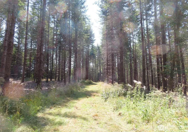 Photo 3 of Land for sale at 0 Xxx Chandler Rd, Doty, WA 98572 | MLS# NWM2566749 | Listing updated on 2026-09-23