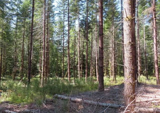 Photo 4 of Land for sale at 0 Xxx Chandler Rd, Doty, WA 98572 | MLS# NWM2566749 | Listing updated on 2026-09-23