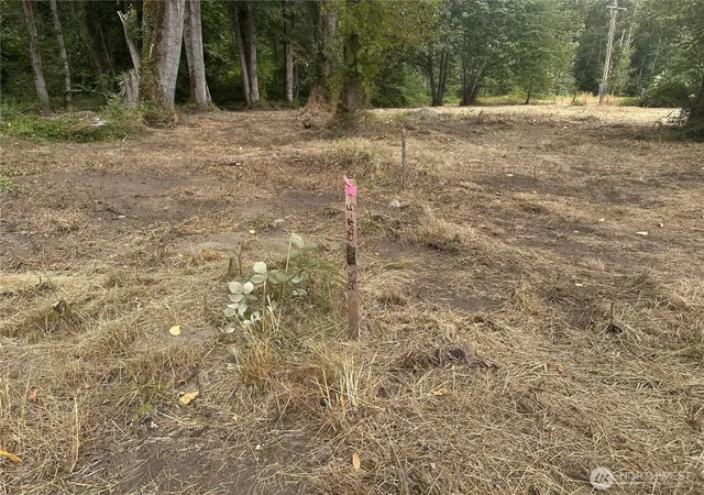 Photo 3 of Land for sale at 154 Se Xx Jones Rd, Renton, WA 98058 | MLS# NWM2566755 | Listing updated on 2026-09-23