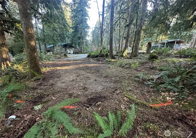 Photo 3 of Land for sale at 5160 Ma Kook Trl, Concrete, WA 98237 | MLS# NWM2567041 | Listing updated on 2026-09-23