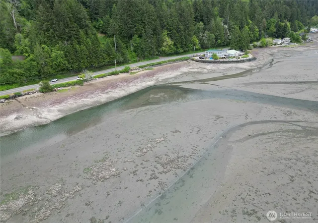 Photo 3 of Land for sale at 0 No Site Address, Union, WA 98592 | MLS# NWM2567432 | Listing updated on 2026-09-23