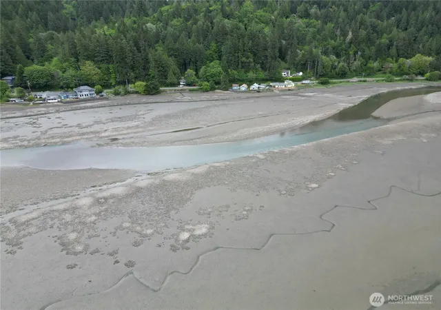 Photo 4 of Land for sale at 0 No Site Address, Union, WA 98592 | MLS# NWM2567432 | Listing updated on 2026-09-23