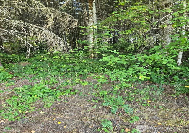 Photo 3 of Land for sale at 14506 106th Street Ct Nw, Gig Harbor, WA 98329 | MLS# NWM2567449 | Listing updated on 2026-09-23