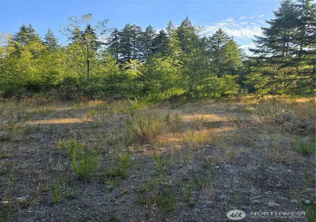 Photo 3 of Land for sale at 14506 106th Street Ct NW, Gig Harbor, WA 98329 | MLS# NWM2567449 | Listing updated on 2026-09-23