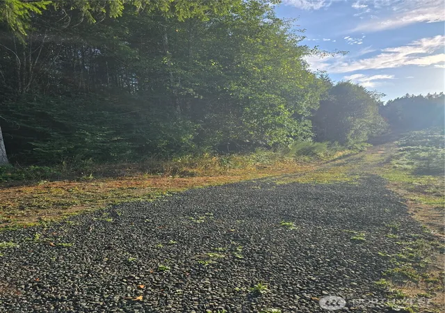Photo 4 of Land for sale at 14506 106th Street Ct NW, Gig Harbor, WA 98329 | MLS# NWM2567449 | Listing updated on 2026-09-23