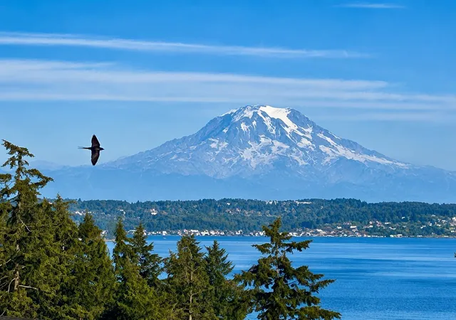 Photo 1 of Single family home for sale at 8818 30th Street Ct NW, Gig Harbor, WA 98335 | MLS# NWM2567464 | Listing updated on 2026-10-27