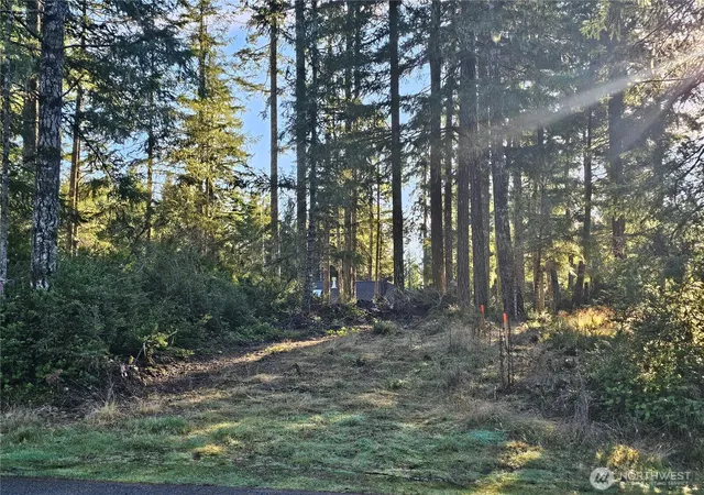 Photo 2 of Land for sale at 1190 E Manzanita Dr, Union, WA 98592 | MLS# NWM2567474 | Listing updated on 2026-09-23