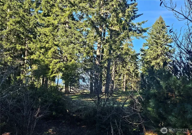 Photo 3 of Land for sale at 1190 E Manzanita Dr, Union, WA 98592 | MLS# NWM2567474 | Listing updated on 2026-09-23