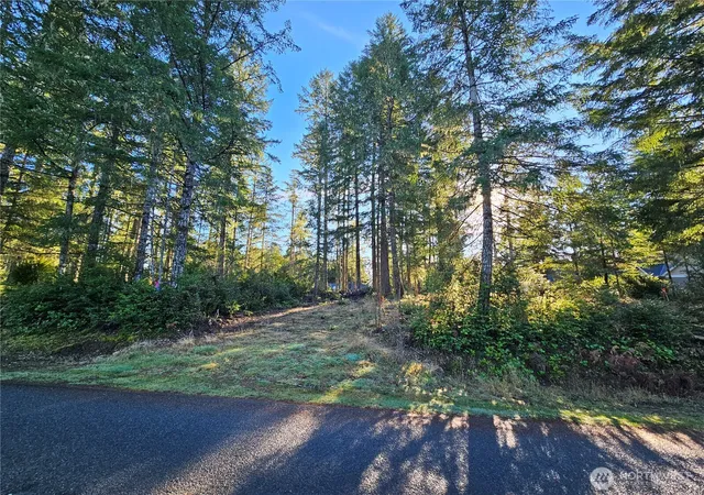 Photo 3 of Land for sale at 1190 E Manzanita Dr, Union, WA 98592 | MLS# NWM2567474 | Listing updated on 2026-09-23