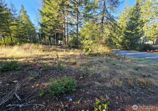 Photo 4 of Land for sale at 1190 E Manzanita Dr, Union, WA 98592 | MLS# NWM2567474 | Listing updated on 2026-09-23