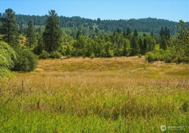 Photo 4 of Land for sale at 8237 E Leavenworth Rd, Leavenworth, WA 98826 | MLS# NWM2567970 | Listing updated on 2026-09-23