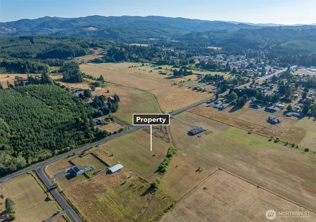 Photo 3 of Land for sale at 785 Pe Ell Mcdonald Rd, Chehalis, WA 98532 | MLS# NWM2567998 | Listing updated on 2026-09-23