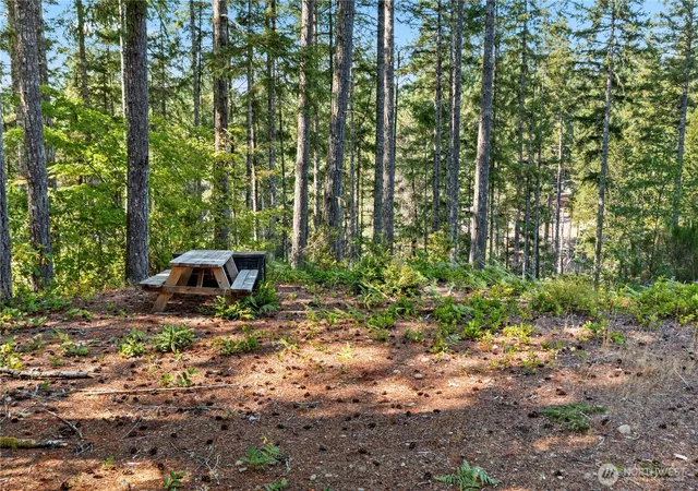 Land for sale at 261 NE Circle Dr, Tahuya, WA 98588 | MLS# NWM2568000