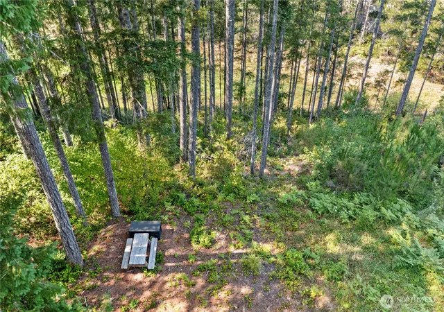 Photo 3 of Land for sale at 261 Ne Circle Dr, Tahuya, WA 98588 | MLS# NWM2568000 | Listing updated on 2026-09-25