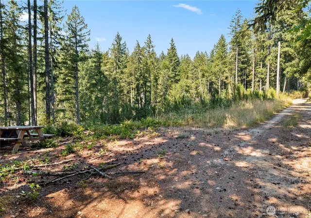 Photo 3 of Land for sale at 261 NE Circle Dr, Tahuya, WA 98588 | MLS# NWM2568000 | Listing updated on 2026-09-25