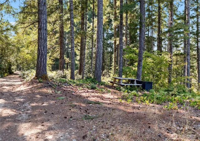 Photo 4 of Land for sale at 261 NE Circle Dr, Tahuya, WA 98588 | MLS# NWM2568000 | Listing updated on 2026-09-25