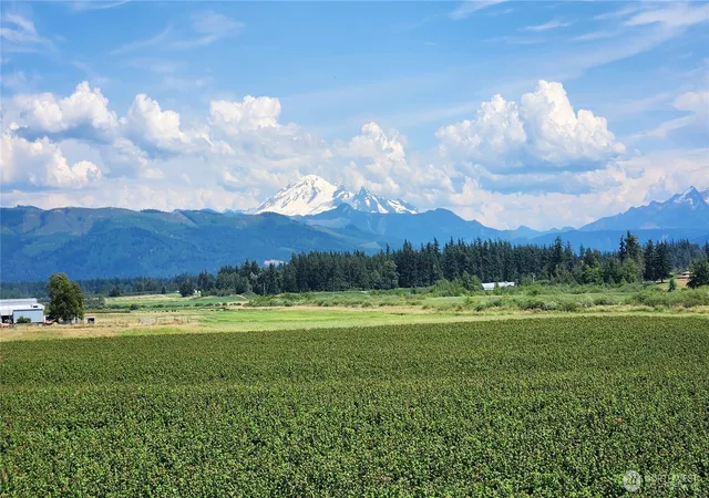 Photo 3 of Sale Pending at 1133 E Pole Rd, Everson, WA 98247 | MLS# NWM2568091 | Listing updated on 2026-09-20