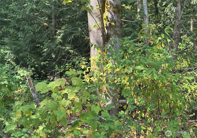 Photo 4 of Land for sale at 157817 Roseview St, Blaine, WA 98230 | MLS# NWM2568404 | Listing updated on 2026-09-23