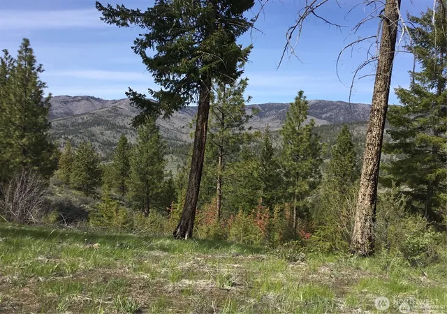 Photo 3 of Land for sale at 0 Ivan Morse Rd, Manson, WA 98831 | MLS# NWM2568452 | Listing updated on 2026-09-23