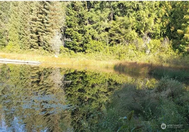 Photo 4 of Land for sale at 100 NE Eagle Crk Ln, Tahuya, WA 98588 | MLS# NWM2568804 | Listing updated on 2026-09-23