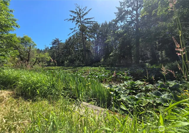 Photo 2 of Single family home for sale at 2225 State Route 105, Grayland, WA 98547 | MLS# NWM2568832 | Listing updated on 2026-09-23