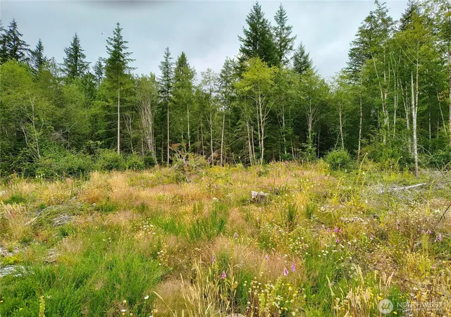 Photo 1 of Land for sale at 6510 101 Street Ave Sw, Olympia, WA 98512 | MLS# NWM2569015 | Listing updated on 2026-09-23