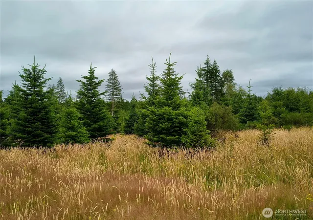 Photo 2 of Land for sale at 6510 101 Street Ave Sw, Olympia, WA 98512 | MLS# NWM2569015 | Listing updated on 2026-09-23
