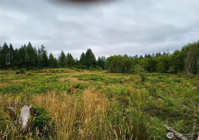 Photo 3 of Land for sale at 6510 101 Street Ave Sw, Olympia, WA 98512 | MLS# NWM2569015 | Listing updated on 2026-09-23