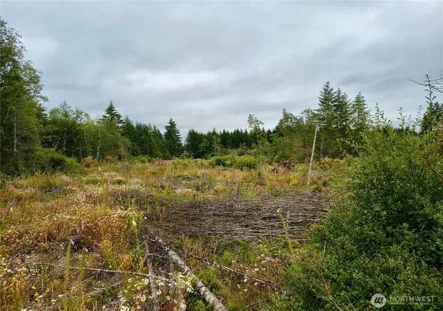 Photo 3 of Land for sale at 6510 101 Street Ave SW, Olympia, WA 98512 | MLS# NWM2569015 | Listing updated on 2026-09-23
