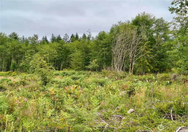 Photo 4 of Land for sale at 6510 101 Street Ave SW, Olympia, WA 98512 | MLS# NWM2569015 | Listing updated on 2026-09-23