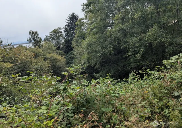 Land for sale at 0 Lamontay Lot #6 Pl, Ilwaco, WA 98624 | MLS# NWM2569177