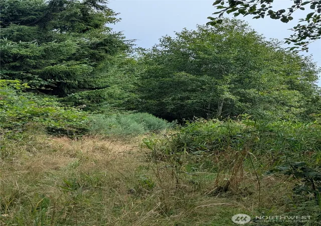 Photo 4 of Land for sale at 0 Lamontay Lot #6 Pl, Ilwaco, WA 98624 | MLS# NWM2569177 | Listing updated on 2026-09-23