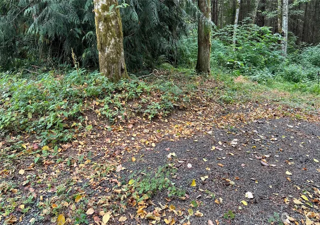 Photo 1 of Land for sale at 5981 Ne Spruce Dr, Hansville, WA 98340 | MLS# NWM2569287 | Listing updated on 2026-09-23