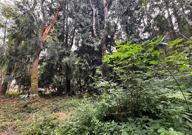 Photo 4 of Land for sale at 5981 NE Spruce Dr, Hansville, WA 98340 | MLS# NWM2569287 | Listing updated on 2026-09-23