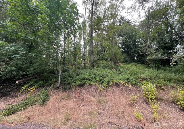 Photo 1 of Land for sale at 0 X Allen Dr, Kelso, WA 98626 | MLS# NWM2569325 | Listing updated on 2026-09-21