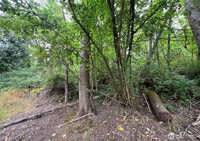 Photo 2 of Land for sale at 0 X Allen Dr, Kelso, WA 98626 | MLS# NWM2569325 | Listing updated on 2026-09-21