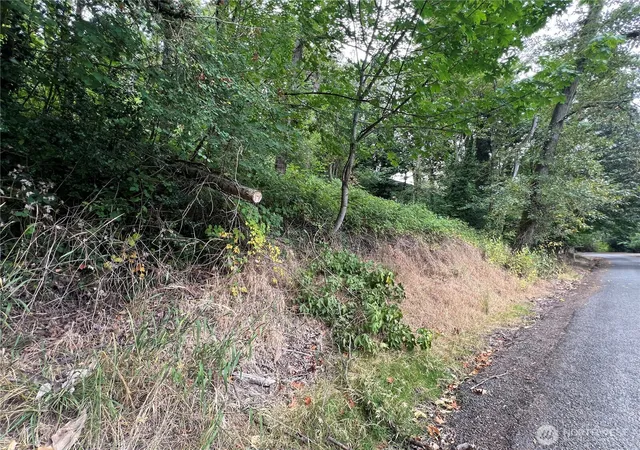 Photo 3 of Land for sale at 0 X Allen Dr, Kelso, WA 98626 | MLS# NWM2569325 | Listing updated on 2026-09-21