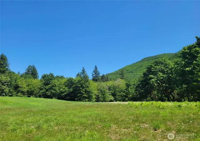 Photo 4 of Land for sale at 8820 Rose Valley Rd, Kelso, WA 98626 | MLS# NWM2569363 | Listing updated on 2026-09-23