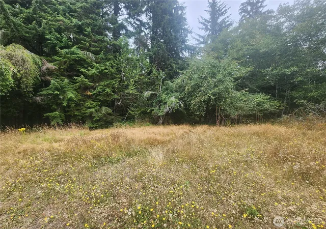 Photo 3 of Sale Pending at 61 Valentine Gdns Ln, Montesano, WA 98563 | MLS# NWM2569553 | Listing updated on 2026-09-25