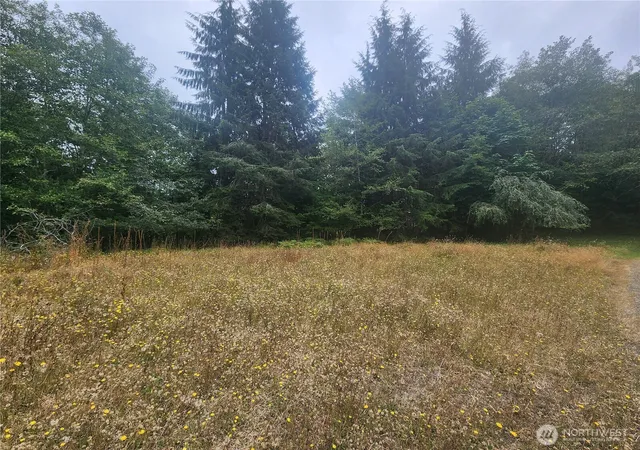 Photo 4 of Sale Pending at 61 Valentine Gdns Ln, Montesano, WA 98563 | MLS# NWM2569553 | Listing updated on 2026-09-25