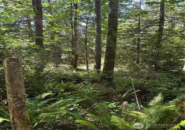 Photo 1 of Land for sale at 11 Lot Cassie Pl Nw, Poulsbo, WA 98370 | MLS# NWM2569576 | Listing updated on 2026-10-14
