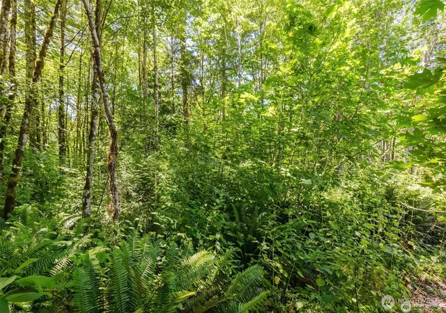 Photo 2 of Land for sale at 11 Lot Cassie Pl Nw, Poulsbo, WA 98370 | MLS# NWM2569576 | Listing updated on 2026-09-23